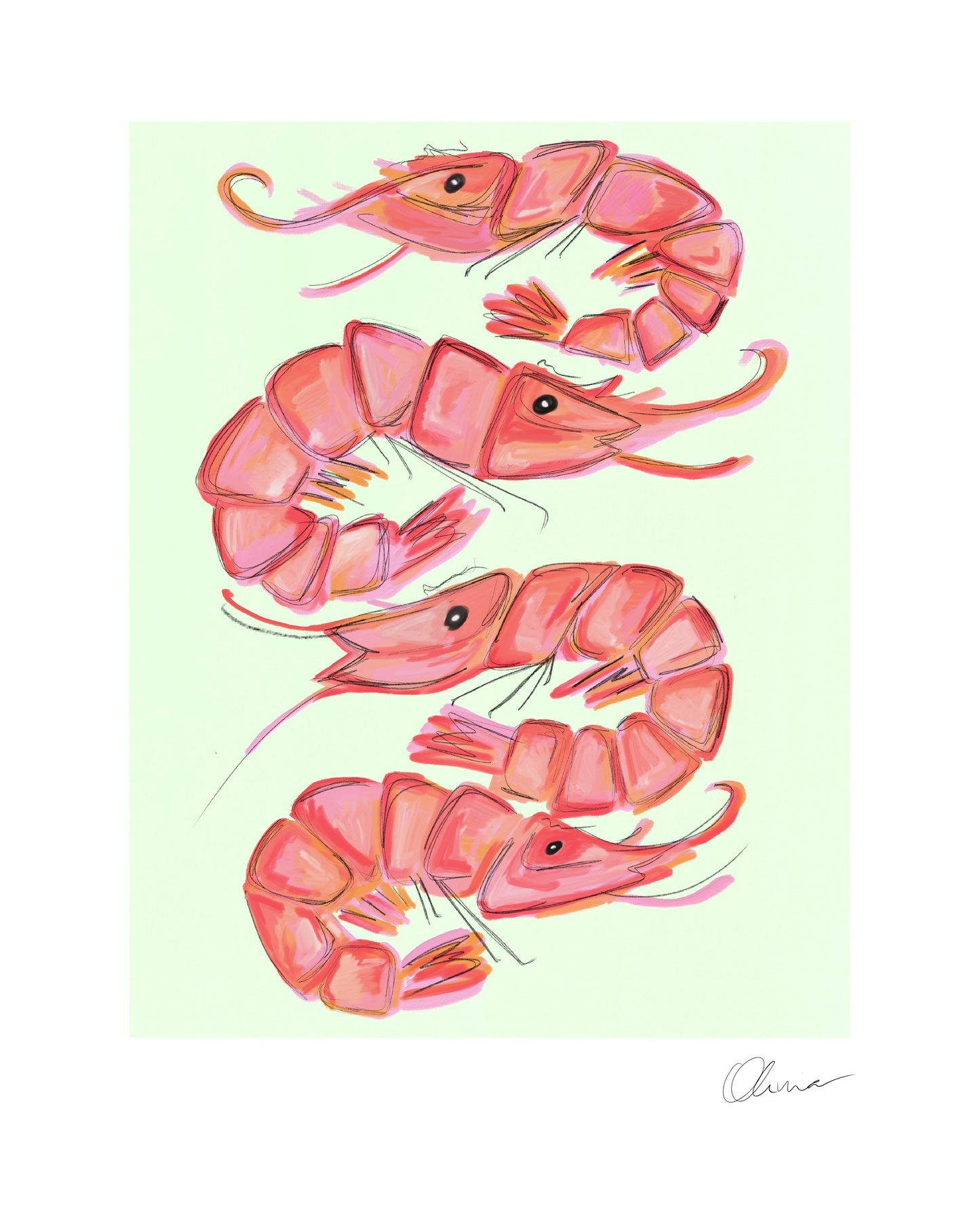 Illustration of four orange and pink shrimp positioned in a mirrored fashion on a light green background, printed on matte paper. The crabs have detailed claws and legs, with a smooth texture that contrasts with the soft finish of the paper.